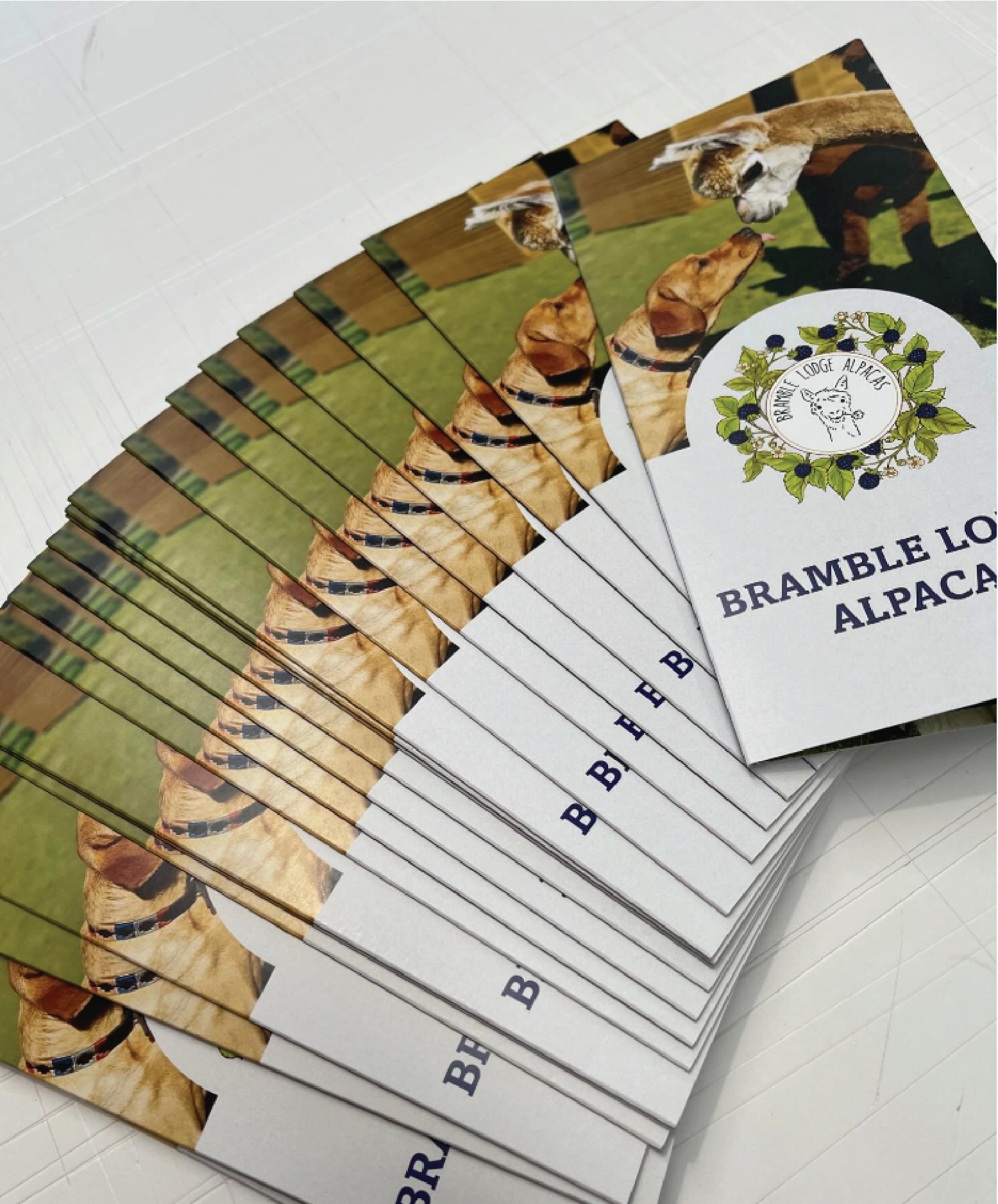 3B Design and Print Stationery-13 - Stationery